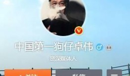 狗仔实锤爆料视频大全,揭秘娱乐圈幕后真相