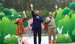 临沂三观爆料事件视频最新,揭秘背后真相与争议